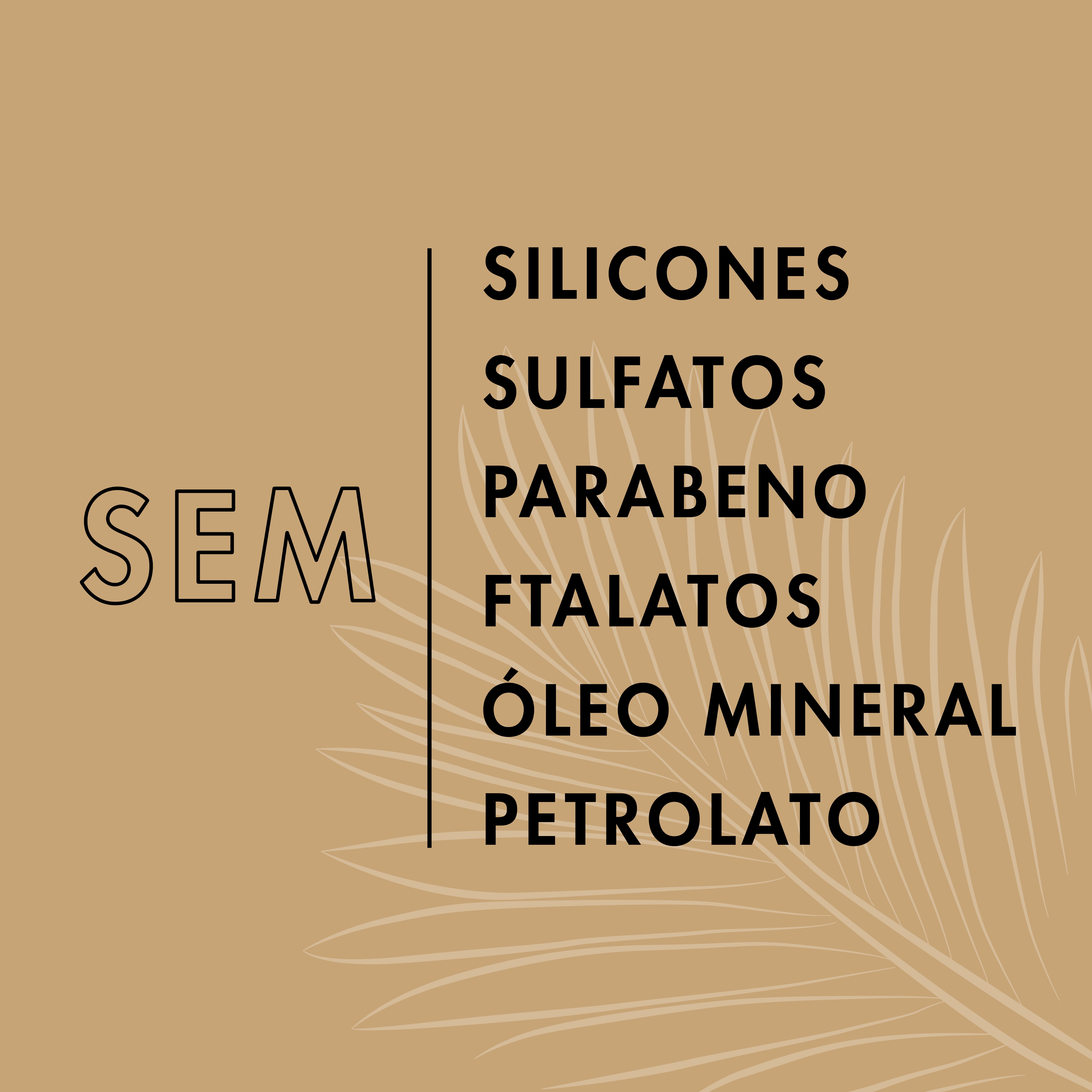 Foto 3 | Set de Champú + Acondicionador + Tratamiento Shea Moisture Daily Hydration - Venta Internacional