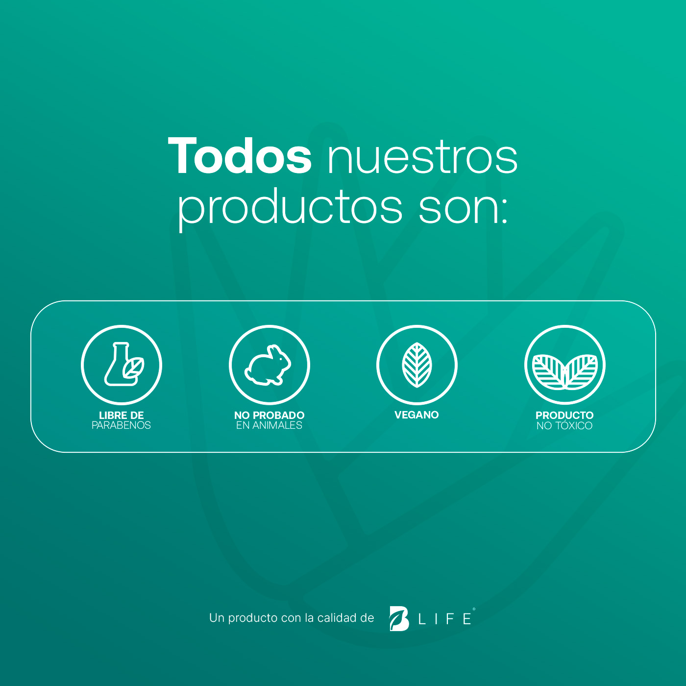 Foto 6 pulgar | Set de Shampoo y Acondicionador B Life de 800 ml