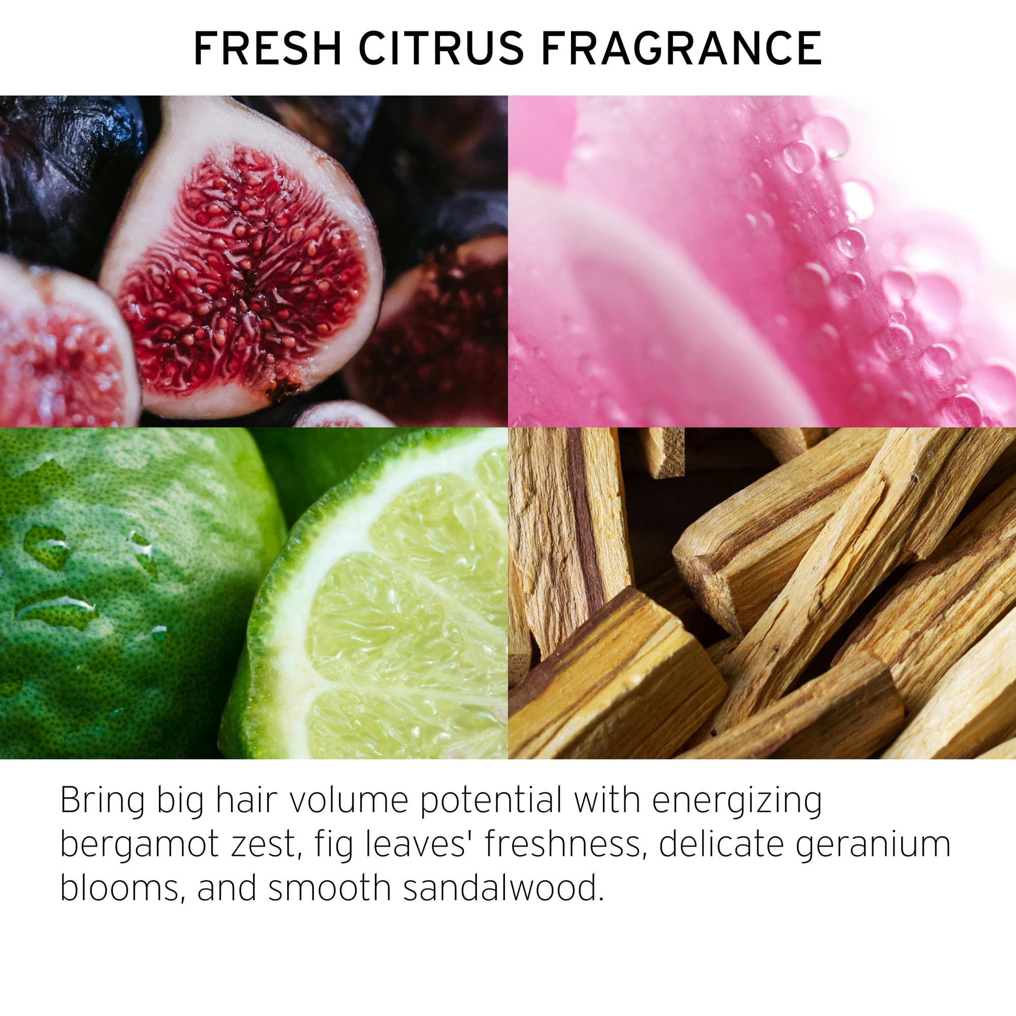 Foto 5 pulgar | Champú Y Acondicionador Fekkai Full Blown Volume 60 Ml Vegan - Venta Internacional.