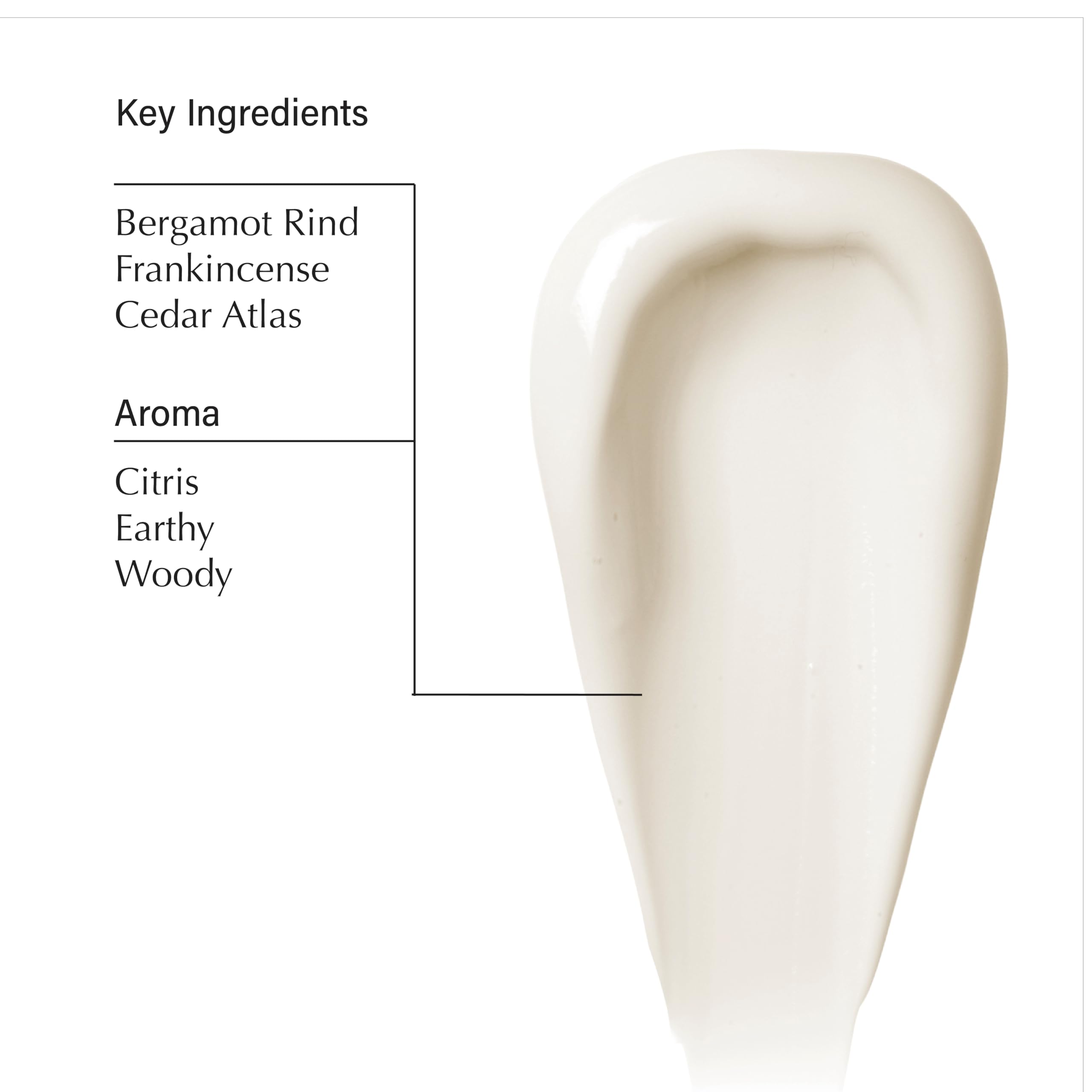 Foto 6 pulgar | Set De Champú Y Acondicionador Aesop Bergamot Rind 500 Ml - Venta Internacional.