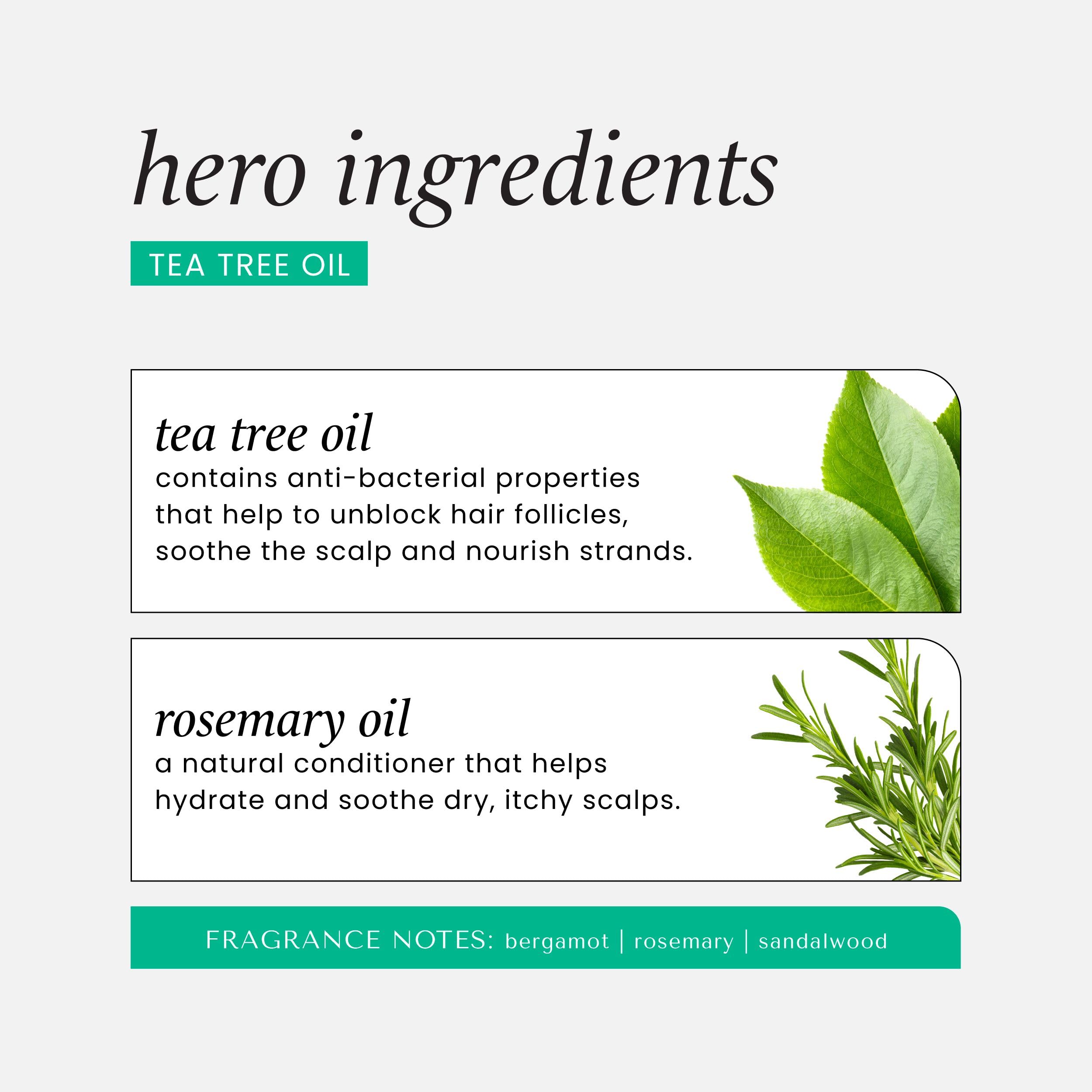 Foto 5 pulgar | Set De Cuidado Capilar Hask Tea Tree Revitalizing Dry Shampoo X2 - Venta Internacional.