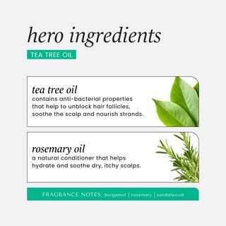 Foto 4 | Set De Cuidado Capilar Hask Tea Tree Revitalizing Dry Shampoo X2 - Venta Internacional.