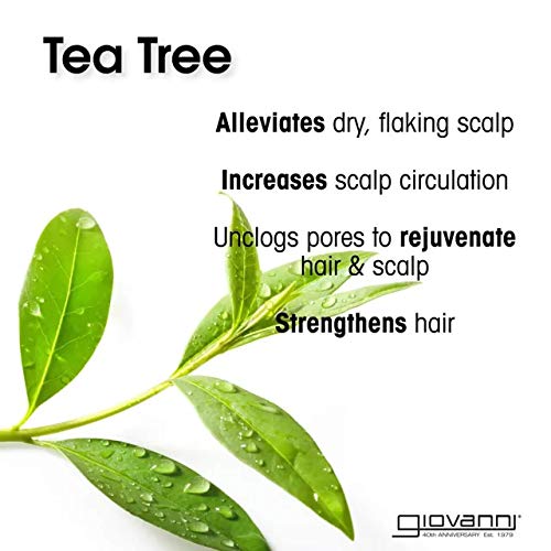 Foto 4 pulgar | Set De Champú Y Acondicionador Giovanni Tea Tree Triple Treat - Venta Internacional.