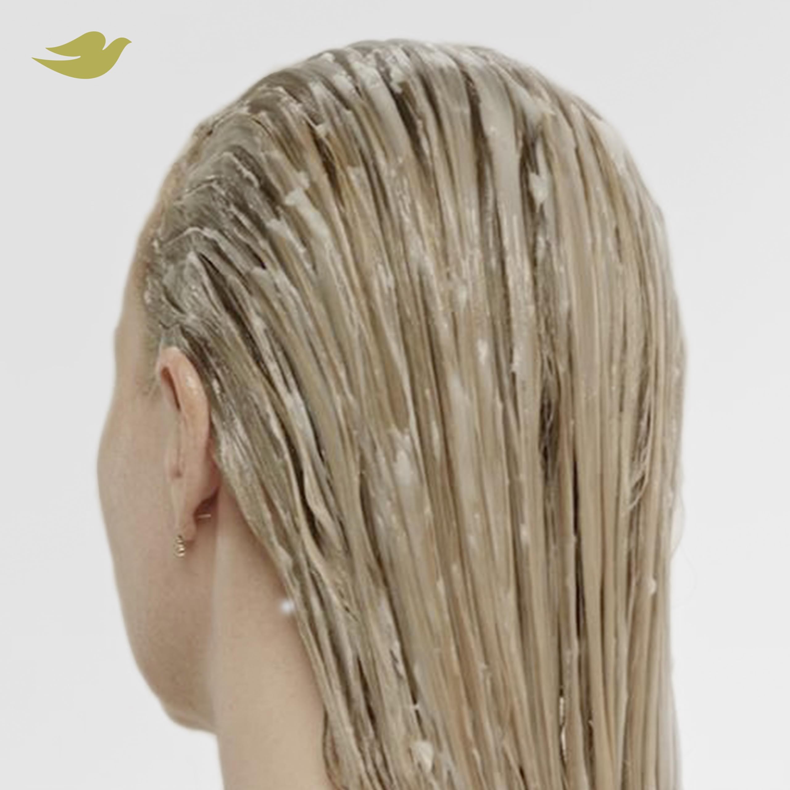 Foto 7 pulgar | Set Para El Cuidado Del Cabello  Champú Y Acondicionador Dove Bond Strength - Venta Internacional.