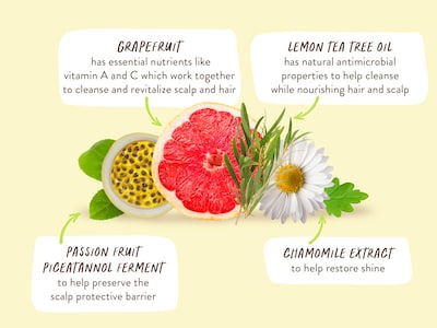 Foto 6 | Acondicionador Purificador Babo Botanicals Limón Árbol De Té Y Pomelo - Venta Internacional.