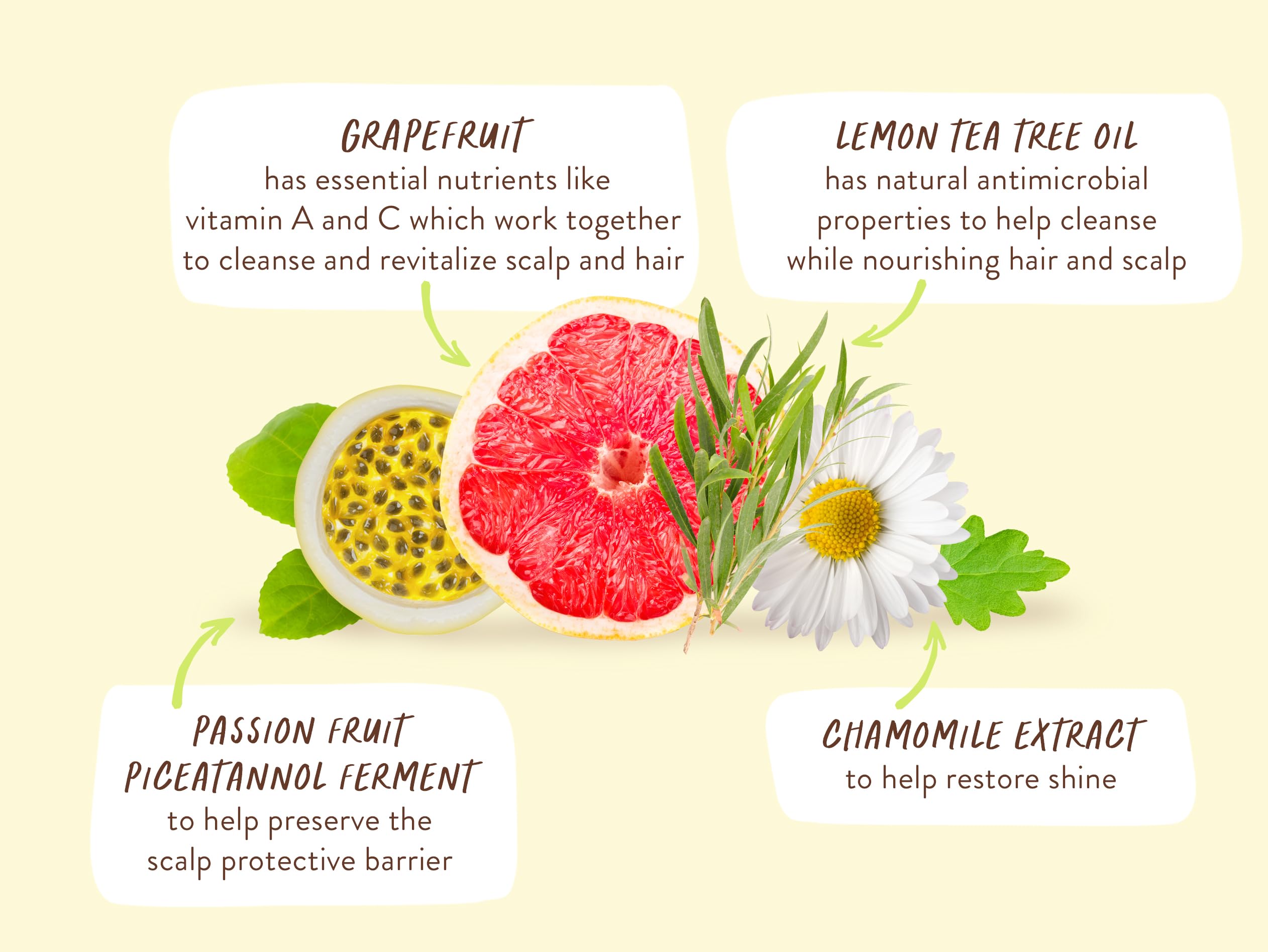 Foto 6 | Champú Purificador Babo Botanicals  Limón  Árbol De Té Y Pomelo - Venta Internacional.