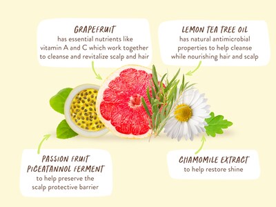 Foto 6 | Champú Purificador Babo Botanicals Limón Árbol De Té Y Pomelo - Venta Internacional.