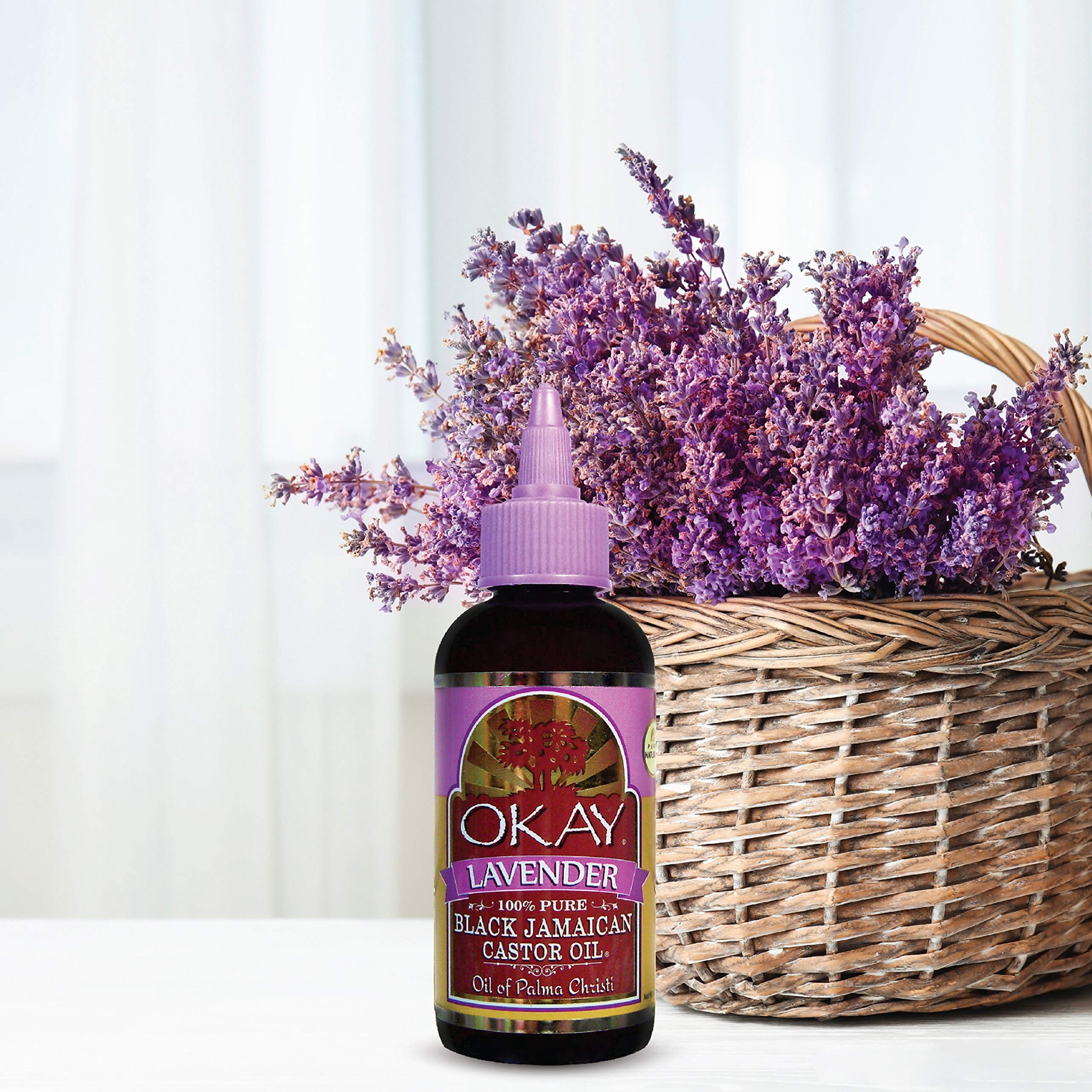 Foto 7 | Castor Jamaicano Negro Oil Okay Con Lavanda, 188 Ml - Venta Internacional.