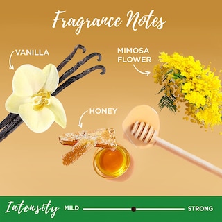 Foto 5 | Mascarilla Reparadora Garnier Whole Blends Honey Treasures 2 Piezas de 300 ml-Venta Internacional