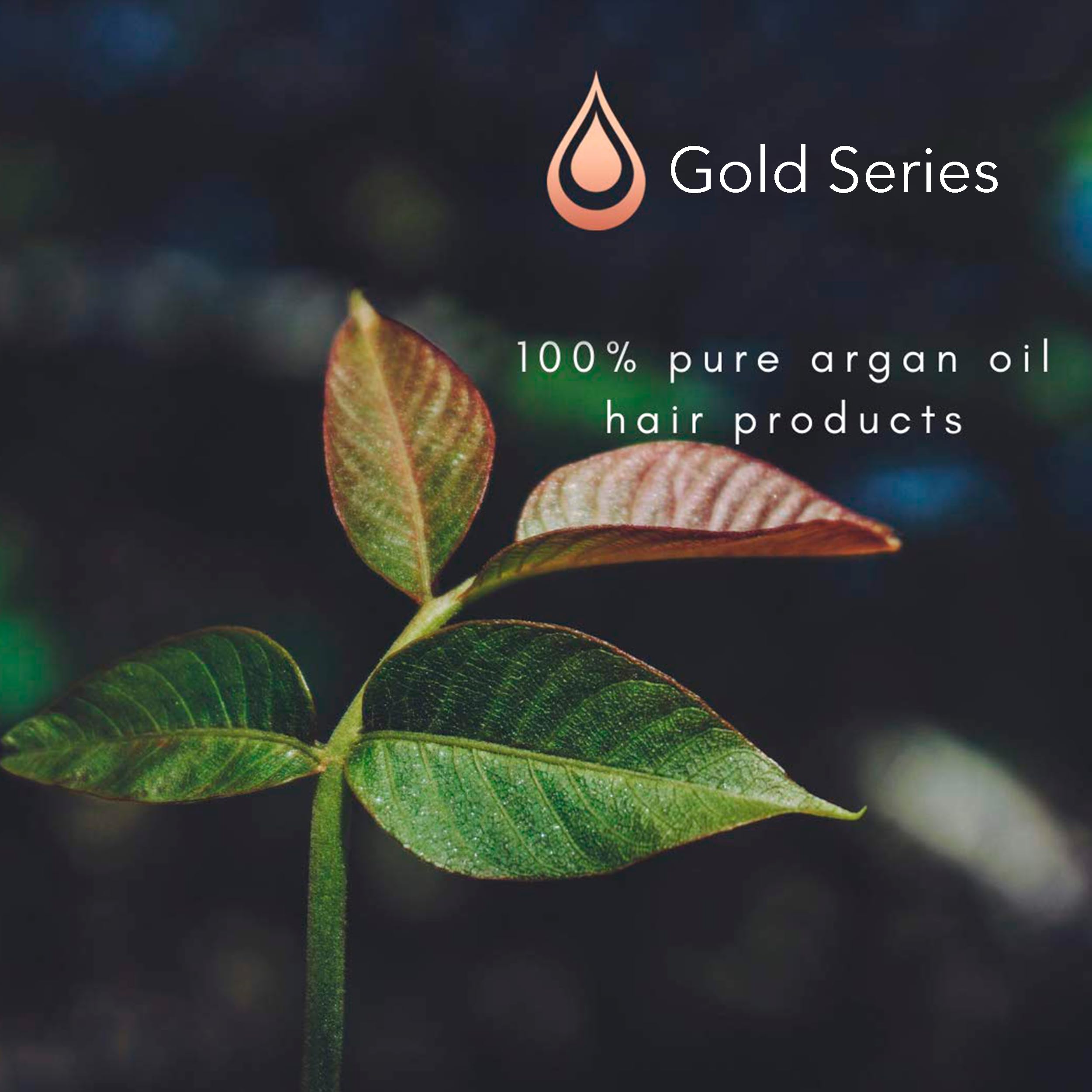 Foto 4 pulgar | Mascarilla Capilar Moroccan Gold Series Leave-in Con Aceite De Argán 250 Ml - Venta Internacional.