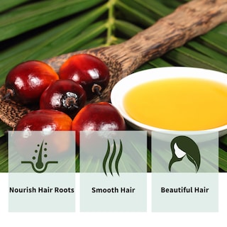 Foto 4 | Aceite Para El Crecimiento Del Cabello Batana 100% Honduran Miracle Oil 30 Ml - Venta Internacional.