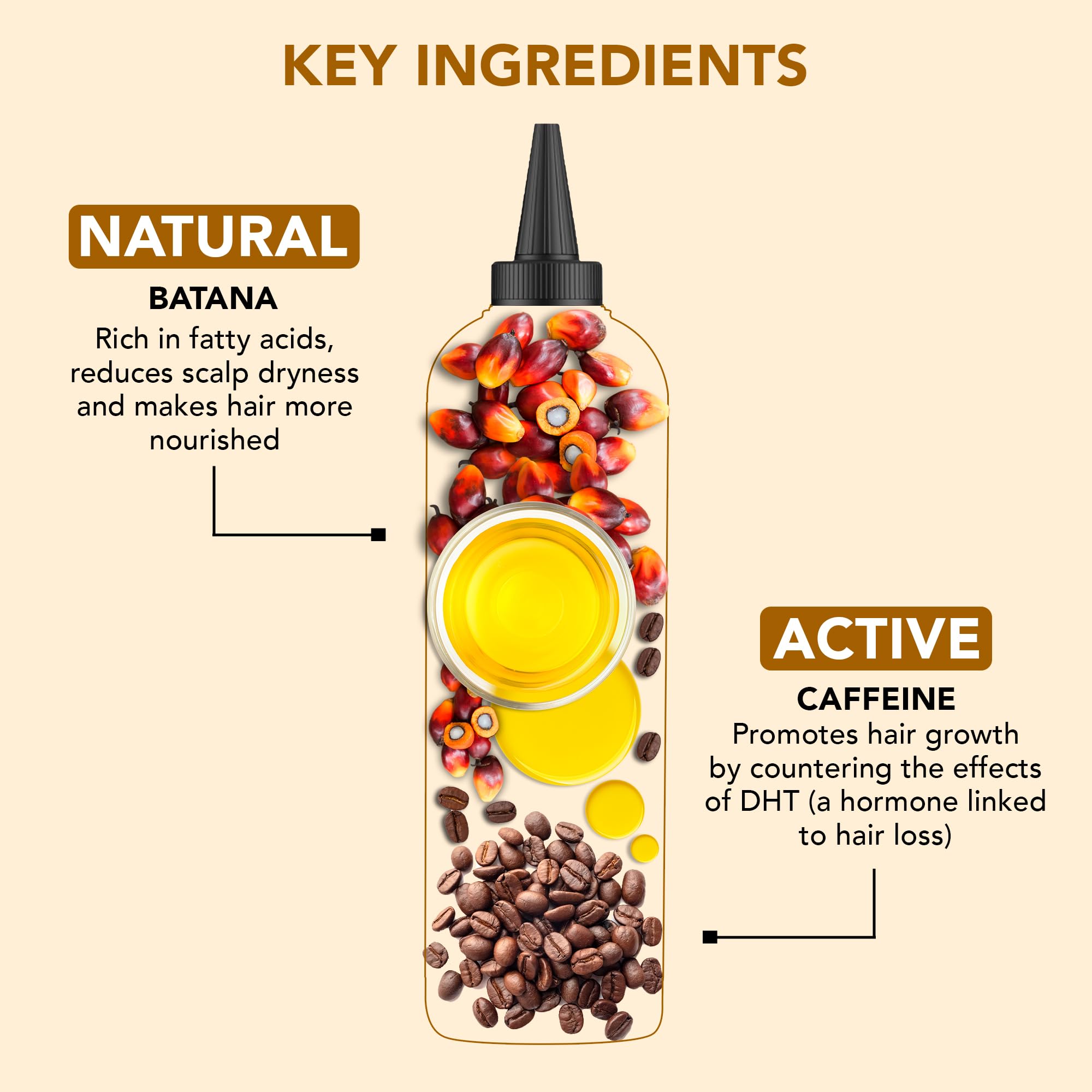 Foto 6 pulgar | Aceite Capilar Botanic Hearth Con Batana Y Cafeína, 200 Ml, Revitalizante - Venta Internacional.