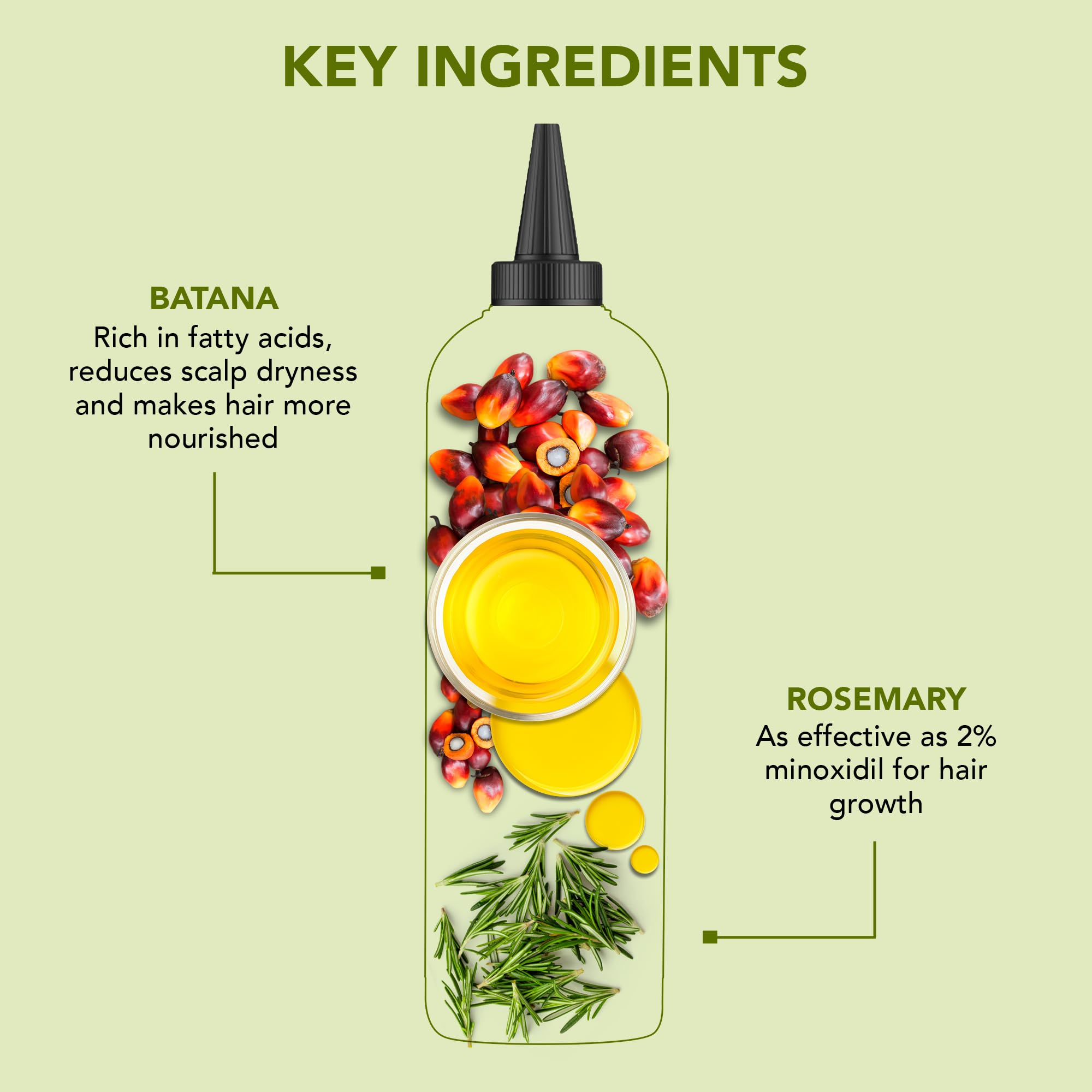 Foto 8 pulgar | Aceite Capilar Botanic Hearth, Romero Y Batana, 200 Ml, Revitalizante - Venta Internacional.
