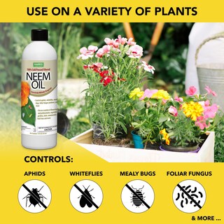 Foto 2 | Aceite De Neem Harris 100% Prensado En Frío Sin Refinar, 355 Ml, Para Plantas - Venta Internacional.