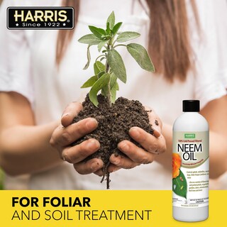 Foto 5 | Aceite De Neem Harris 100% Prensado En Frío Sin Refinar, 355 Ml, Para Plantas - Venta Internacional.
