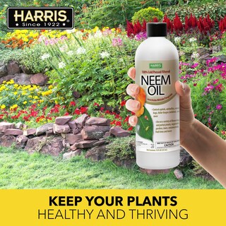 Foto 6 | Aceite De Neem Harris 100% Prensado En Frío Sin Refinar, 355 Ml, Para Plantas - Venta Internacional.