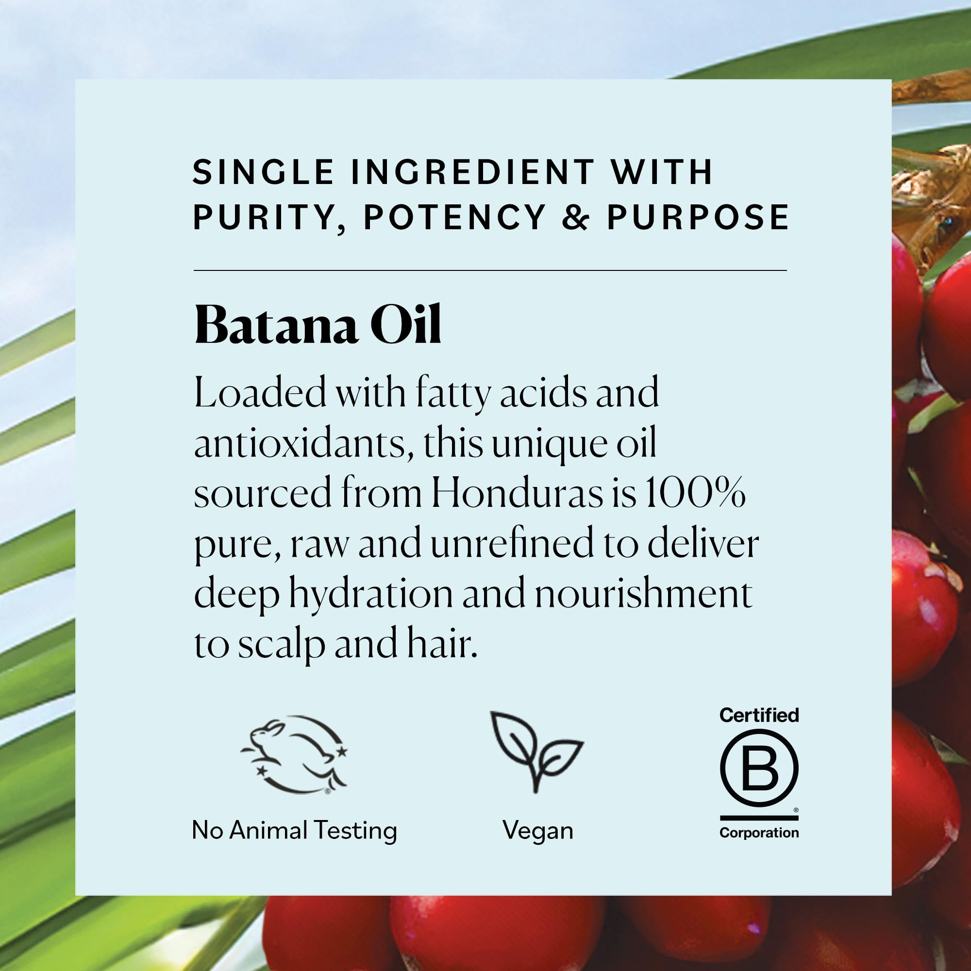 Foto 7 pulgar | Aceite De Batana Sky Organics 120 Ml, 100% Crudo Y Sin Refinar, Vegano - Venta Internacional.