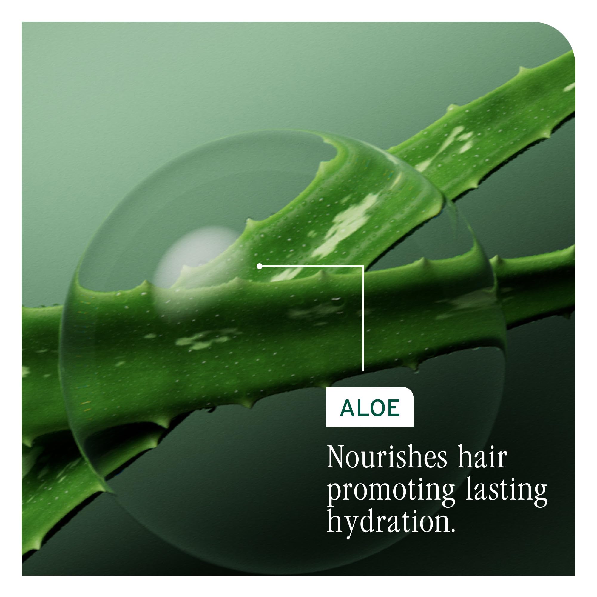 Foto 6 pulgar | Mascarilla De Tratamiento Capilar Biolage Hydra Source Para Cabello Seco - Venta Internacional.