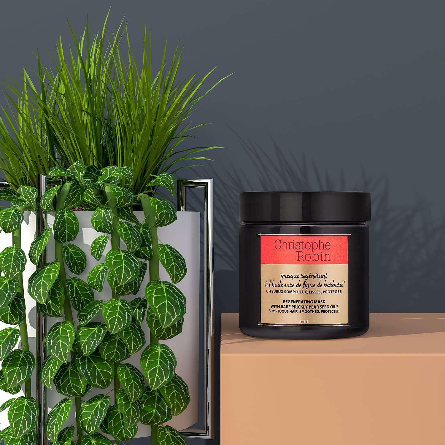 Foto 2 | Acondicionador Christophe Robin Mascarilla Regeneradora Prickly Pear 250 Ml - Venta Internacional.