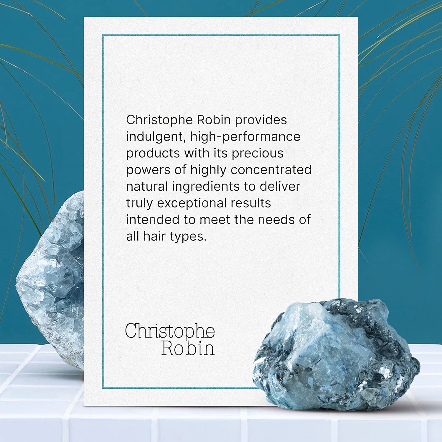 Foto 6 | Acondicionador Christophe Robin Mascarilla Regeneradora Prickly Pear 250 Ml - Venta Internacional.