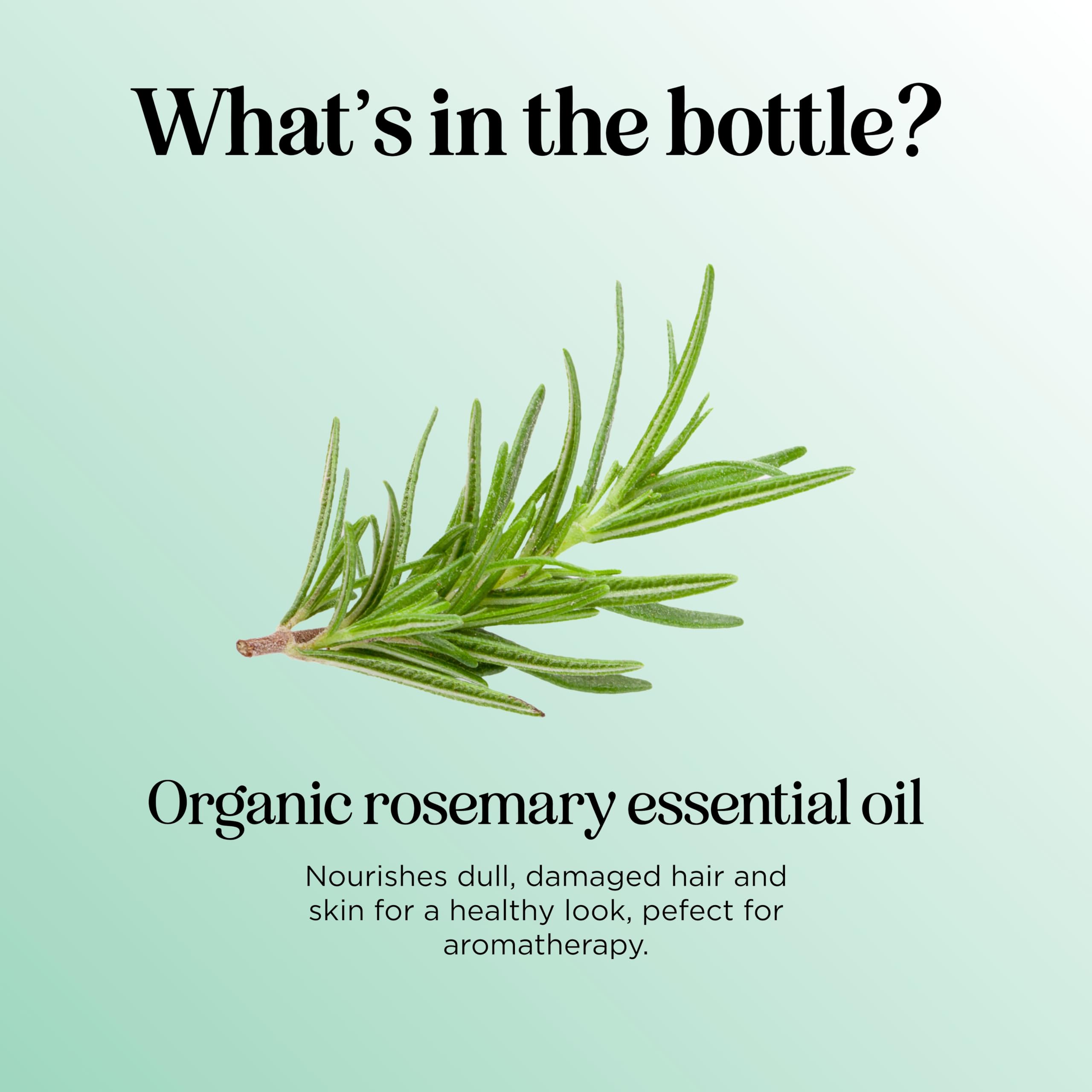 Foto 4 | Aceite De Romero Orgánico Maple Holistics Para Cabello, Piel Y Uñas - Venta Internacional.