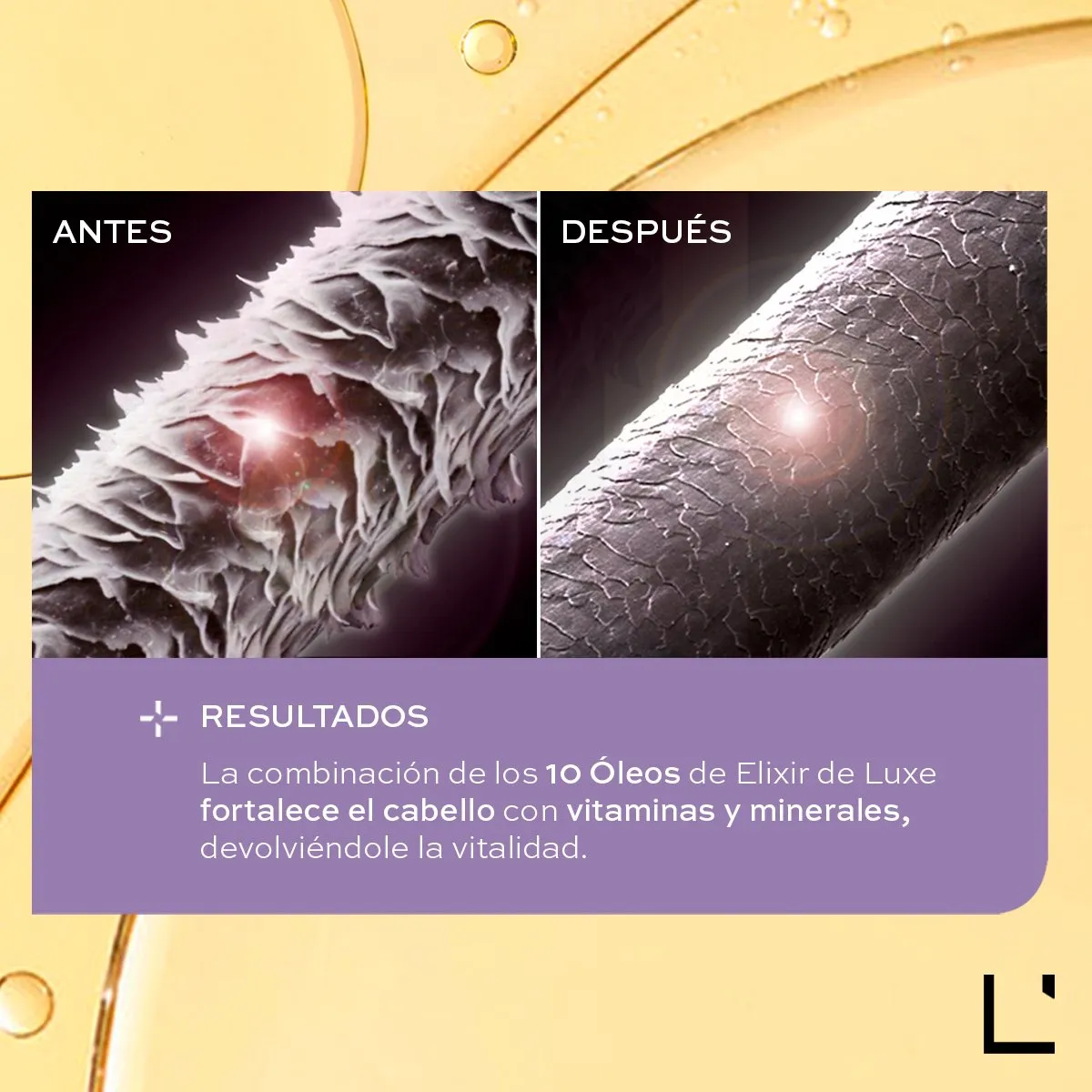 Foto 5 pulgar | Aceite Ligne Experte Elixir De Luxe Para El Cabello L'bel 90ml