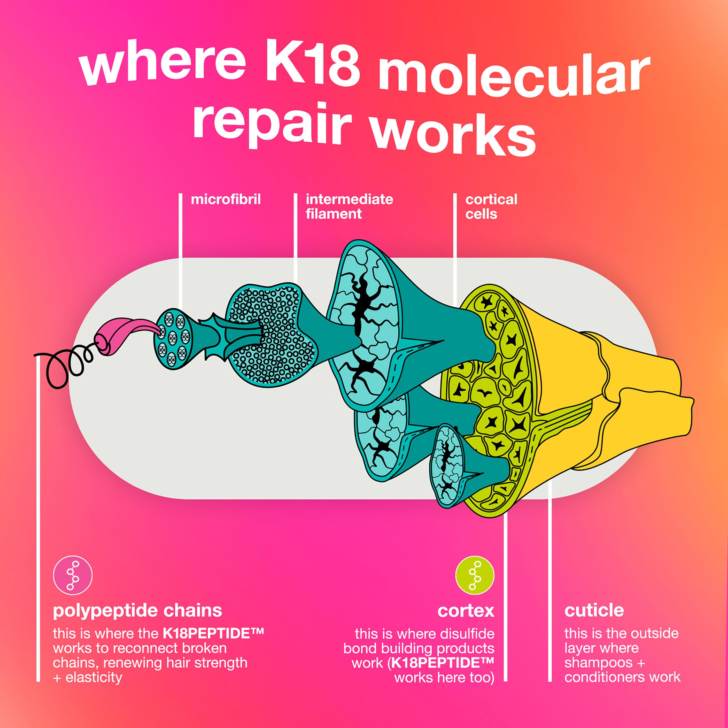 Foto 7 pulgar | Kit De Reparación Capilar K18 Damage Repair Con Minimascarilla Capilar, Aceite Y Champú - Venta Internacional.