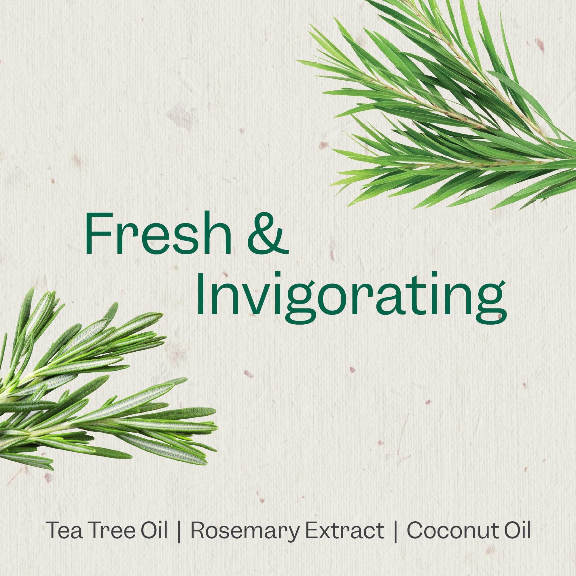 Foto 4 pulgar | Sérum Para Cuero Cabelludo Renpure Tea Tree & Rosemary 120 Ml Para Cabello Graso - Venta Internacional.