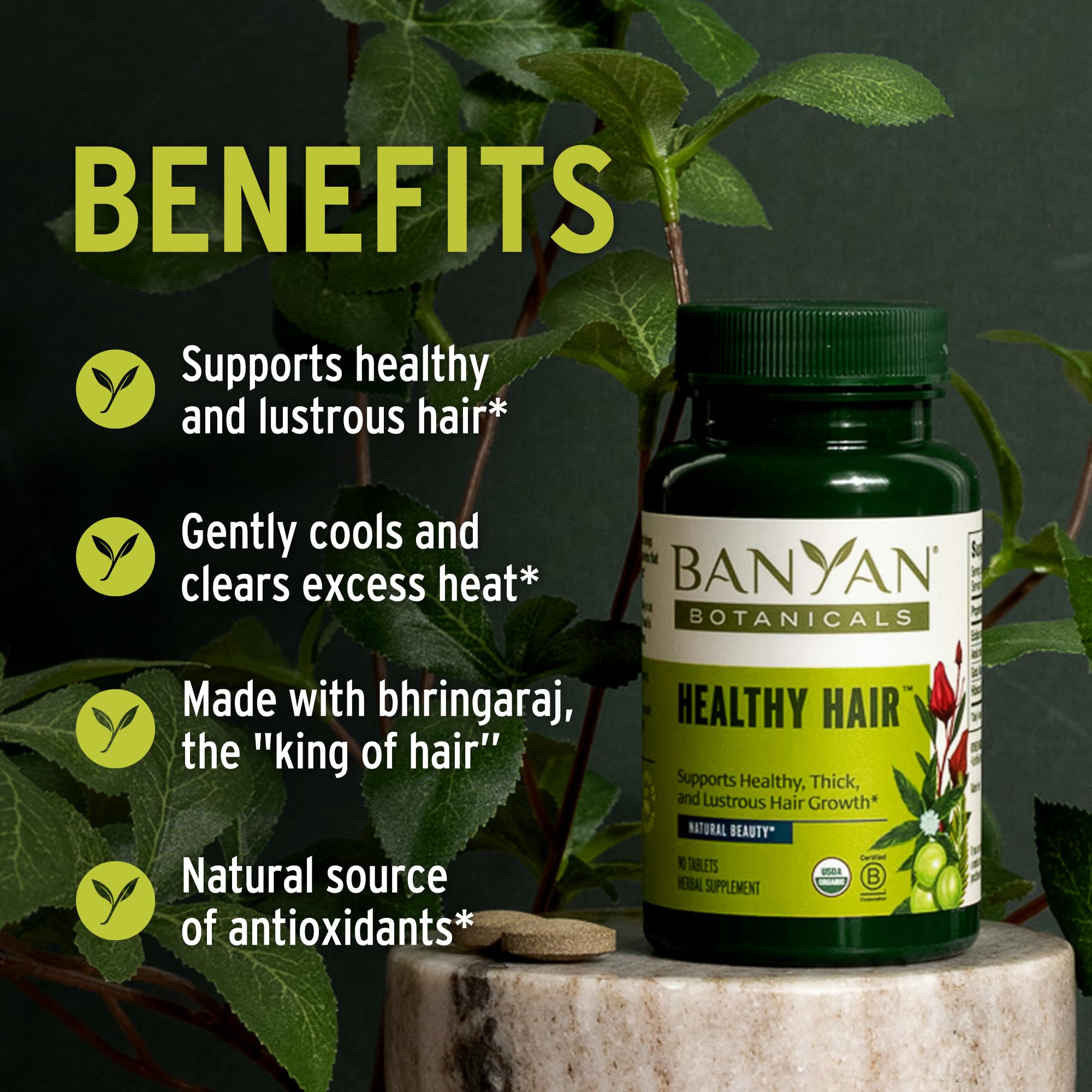 Foto 3 pulgar | Suplemento Capilar Banyan Botanicals Healthy Hair 90 Comprimidos - Venta Internacional.