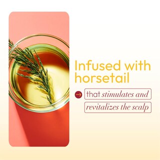 Foto 6 | Fertilizante Capilar Ors Hairrestore Con Ortiga Y Cola De Caballo 180 Ml X 2 - Venta Internacional.