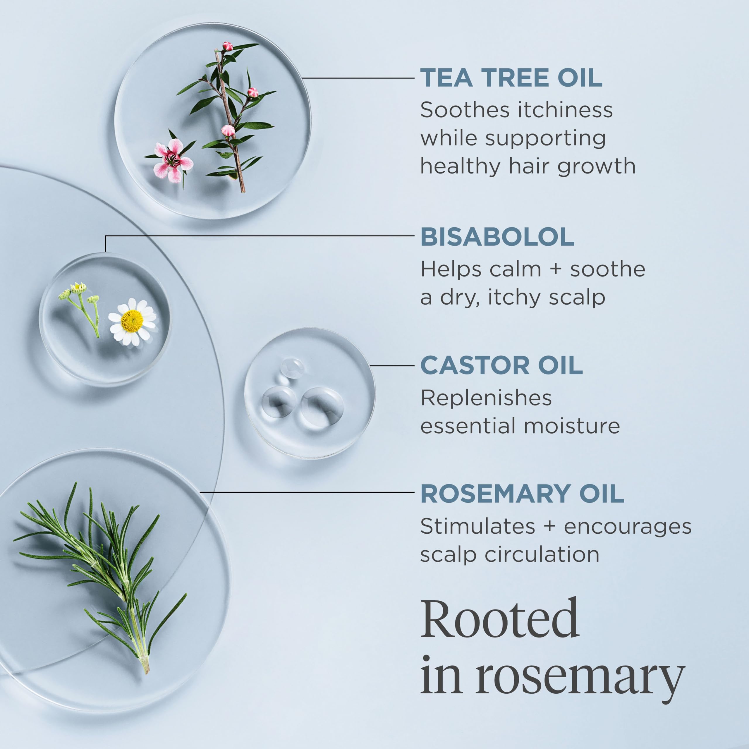 Foto 6 pulgar | Aceite De Prelavado Scalp Revival Rosemary Briogeo, 100 Ml, Vegano - Venta Internacional.