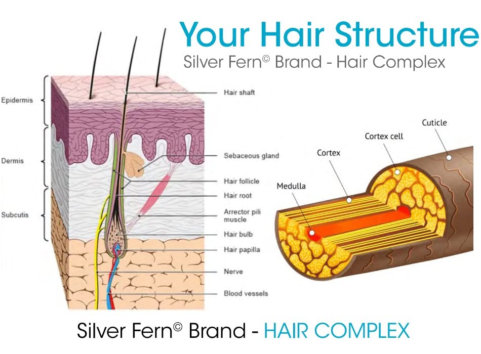 Foto 3 | Suplemento Capilar Silver Fern Hair Complex 30 Cápsulas - Venta Internacional.