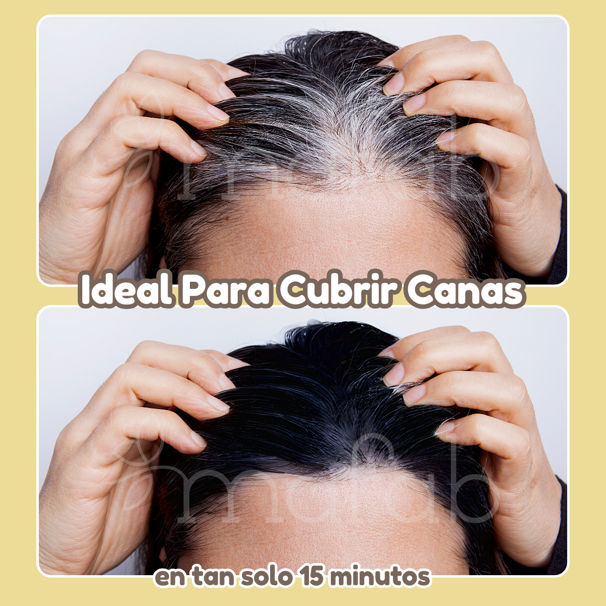 Foto 5 pulgar | Shampoo Tinte 500ml Natural Cubre Canas Instantáneo (color Negro)