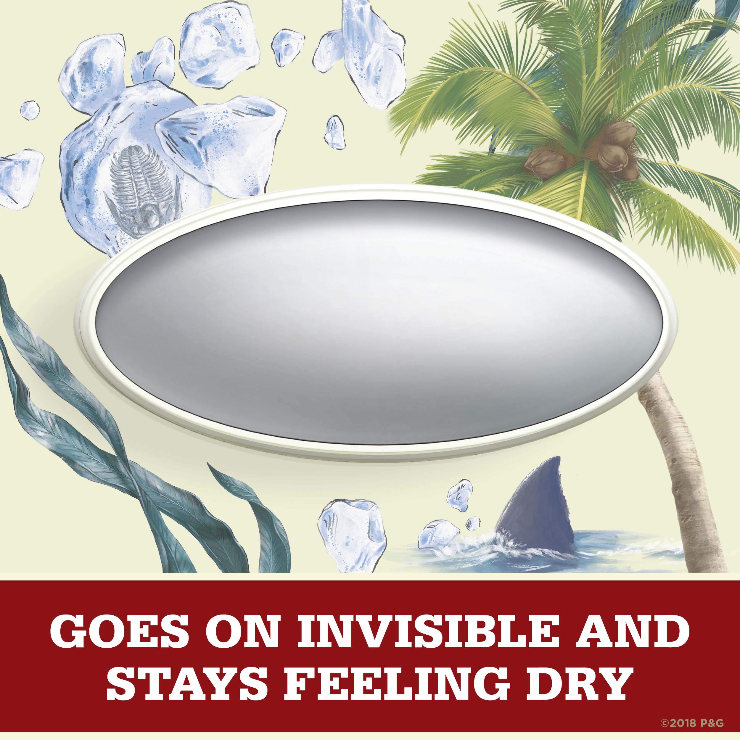Foto 6 pulgar | Desodorante Antitranspirante Old Spice Invisible Solid Para Hombre, 75 Ml X 12 - Venta Internacional.