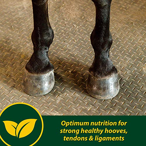 Foto 3 pulgar | Suplemento Farnam Horseshoer's Secret Extra Strength 1,7 Kg - Venta Internacional.