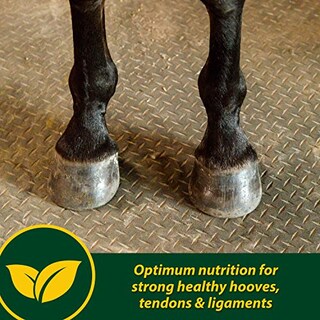 Foto 2 | Suplemento Farnam Horseshoer's Secret Extra Strength 1,7 Kg - Venta Internacional.