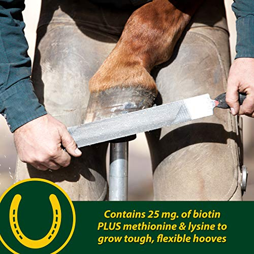 Foto 4 pulgar | Suplemento Farnam Horseshoer's Secret Extra Strength 1,7 Kg - Venta Internacional.