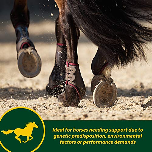 Foto 6 pulgar | Suplemento Farnam Horseshoer's Secret Extra Strength 1,7 Kg - Venta Internacional.