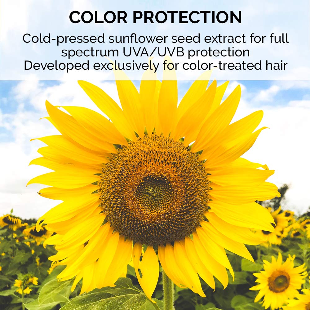 Foto 5 pulgar | Champú Colorproof Evolved Color Care Superrich Moisture 250 Ml - Venta Internacional.