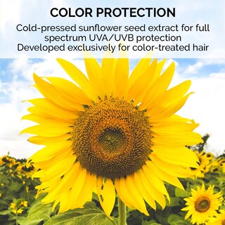 Foto 4 | Champú Colorproof Evolved Color Care Superrich Moisture 250 Ml - Venta Internacional.