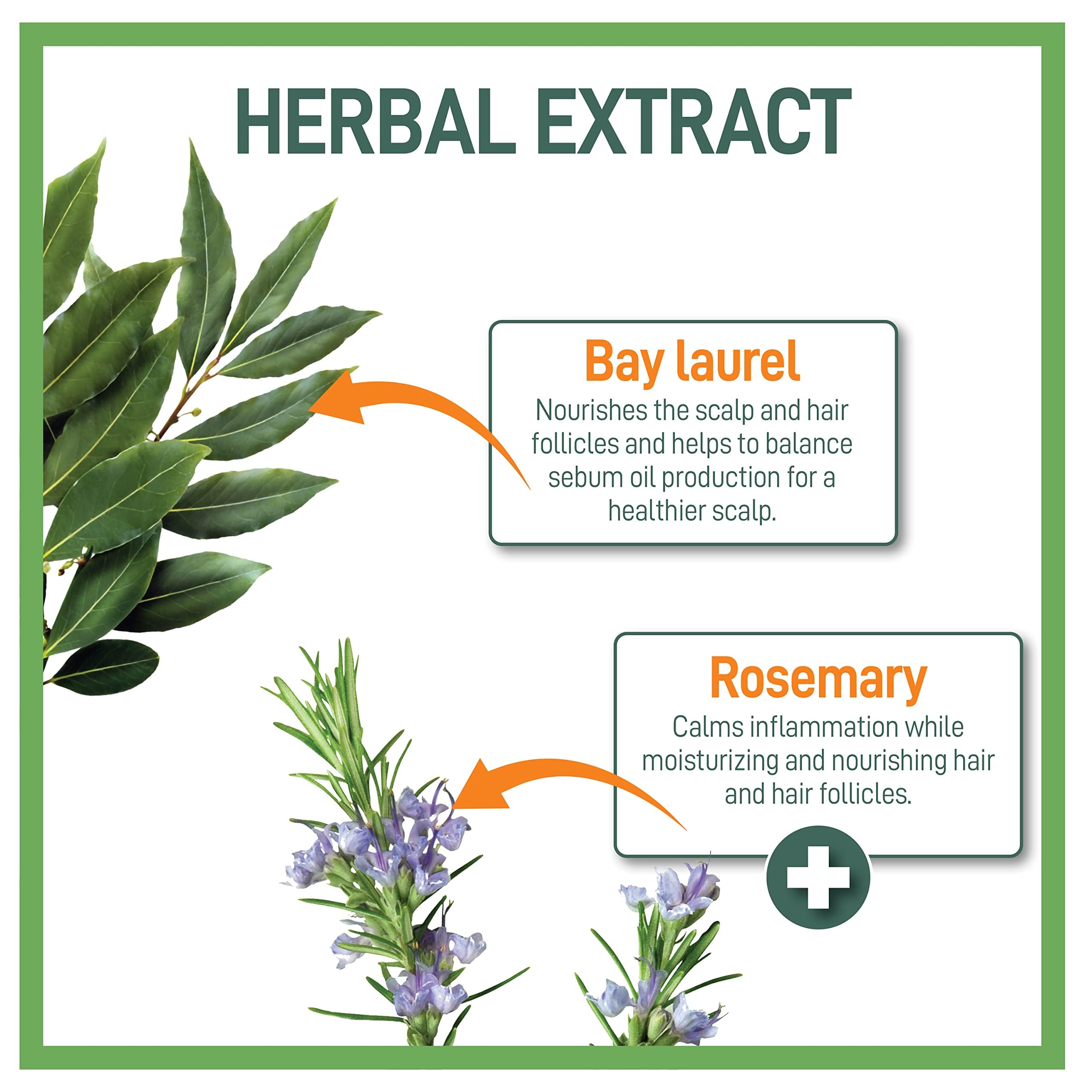 Foto 3 | Champú Moraz Herbal Bay Laurel & Rosemary, 500 Ml, Aceite Normal - Venta Internacional.