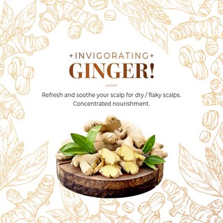 Foto 4 | Champú Cp-1 Ginger Purificante Recuperador Y Fortalecedor 500 Ml - Venta Internacional.