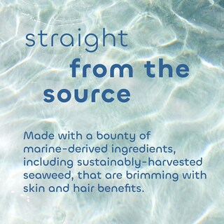 Foto 3 | Champú Seaweed Bath Co. Sal Marina Brillante Aroma A Bergamota 350 Ml - Venta Internacional.