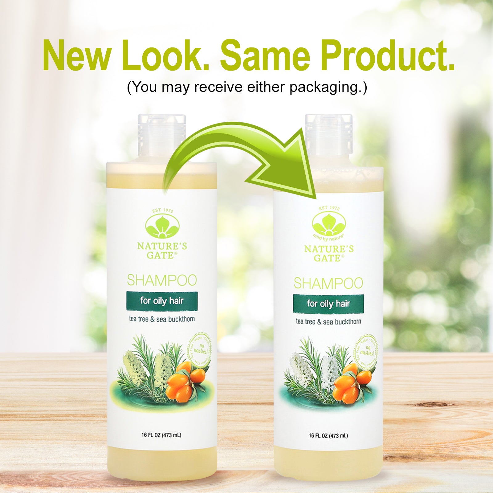 Foto 5 pulgar | Champú Mild By Nature Para Cabello Graso Con Árbol De Té Y Espino Amarillo  473 Ml - Venta Internacional.