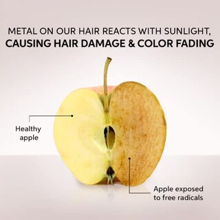 Foto 5 | Venta Internacional - Champú Protector De Color Colormotion+ De Wella Professional