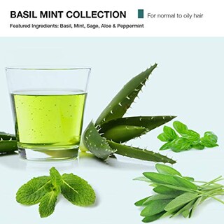Foto 4 | Venta Internacional - Champú Revitalizante Mop, Menta Y Albahaca, 8.45 Onzas Líqui