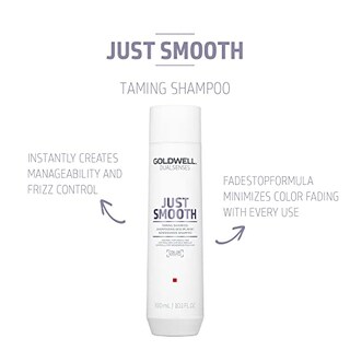 Foto 2 | Venta Internacional - Champú Domador Goldwell Dualsenses Just Smooth, 300 Ml