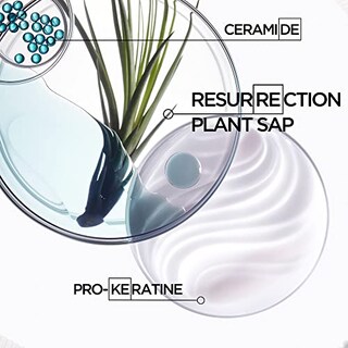 Foto 5 | Venta Internacional - Champú Kerastase Resistance Force Architecte | Fortalecer