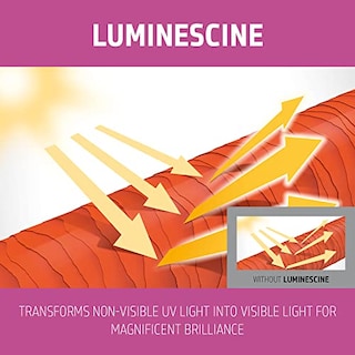 Foto 3 | Venta Internacional - Champú Goldwell Dualsenses Color Brilliance, 1 Litro