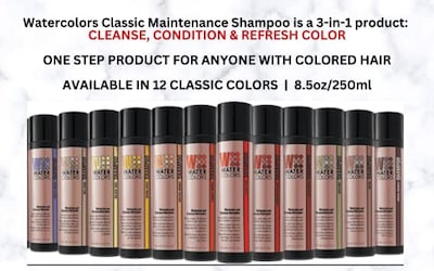 Foto 4 | Shampoo Watercolors 250 Ml para Cabello-Venta Internacional